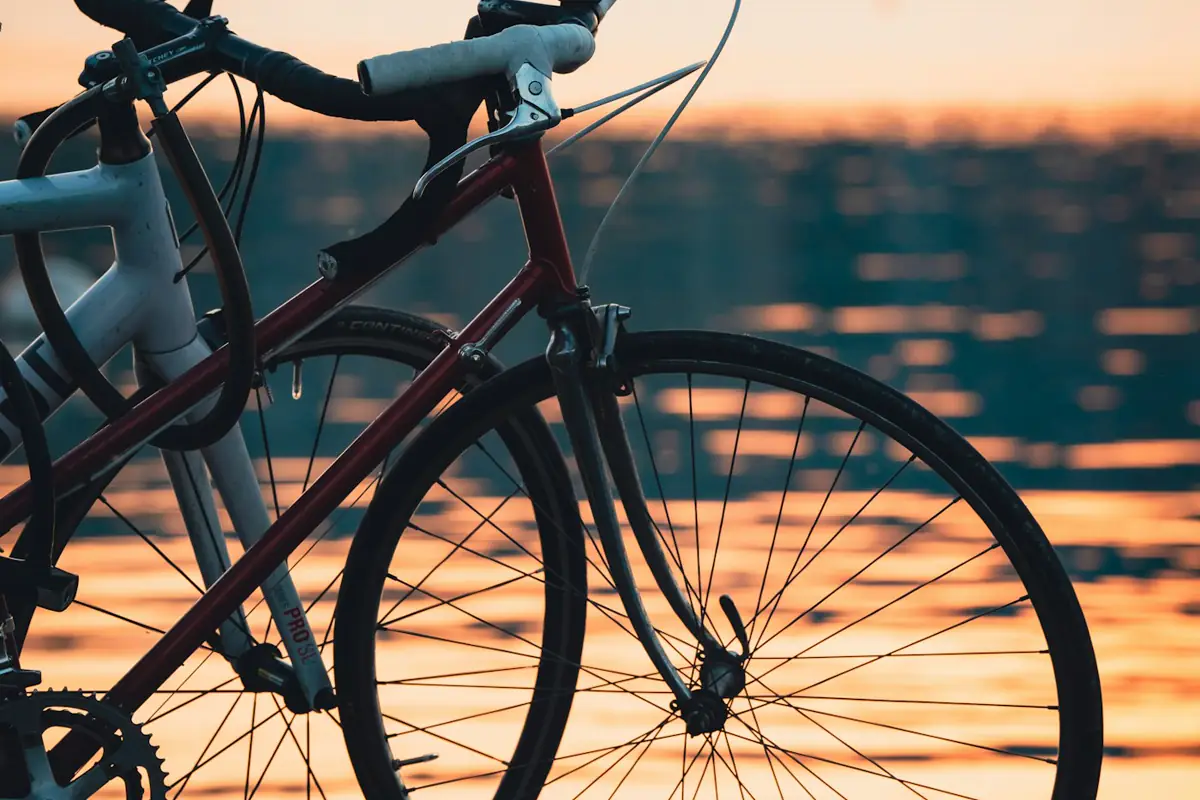 Two bicycles stand side by side on pavement at sunset.